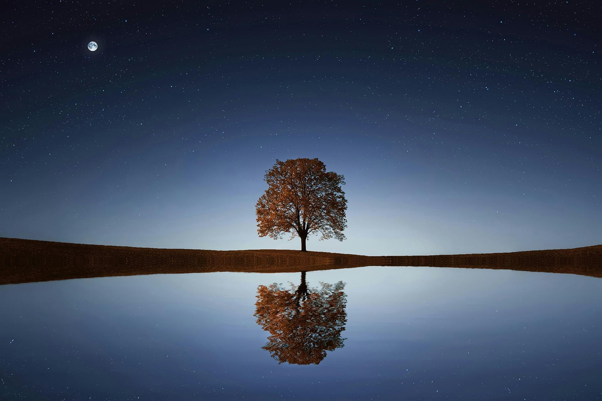 Tree 1